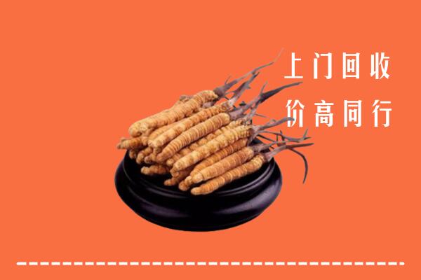 高价求购：德州宁津县回收散虫草