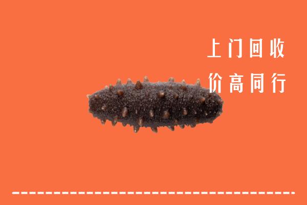 高价求购：德州宁津县回收海参