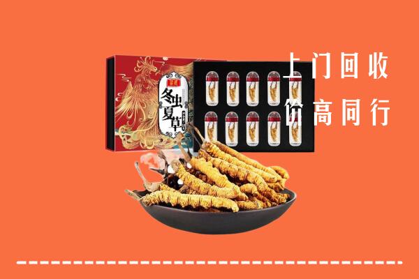 德州宁津县高价回收虫草